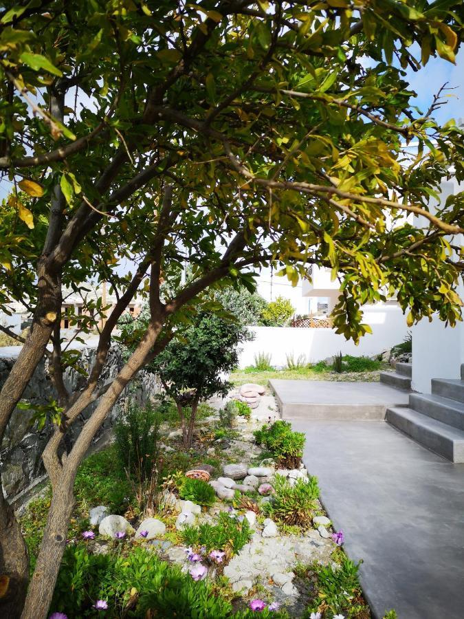 Summer Villa Adamantas  Bagian luar foto